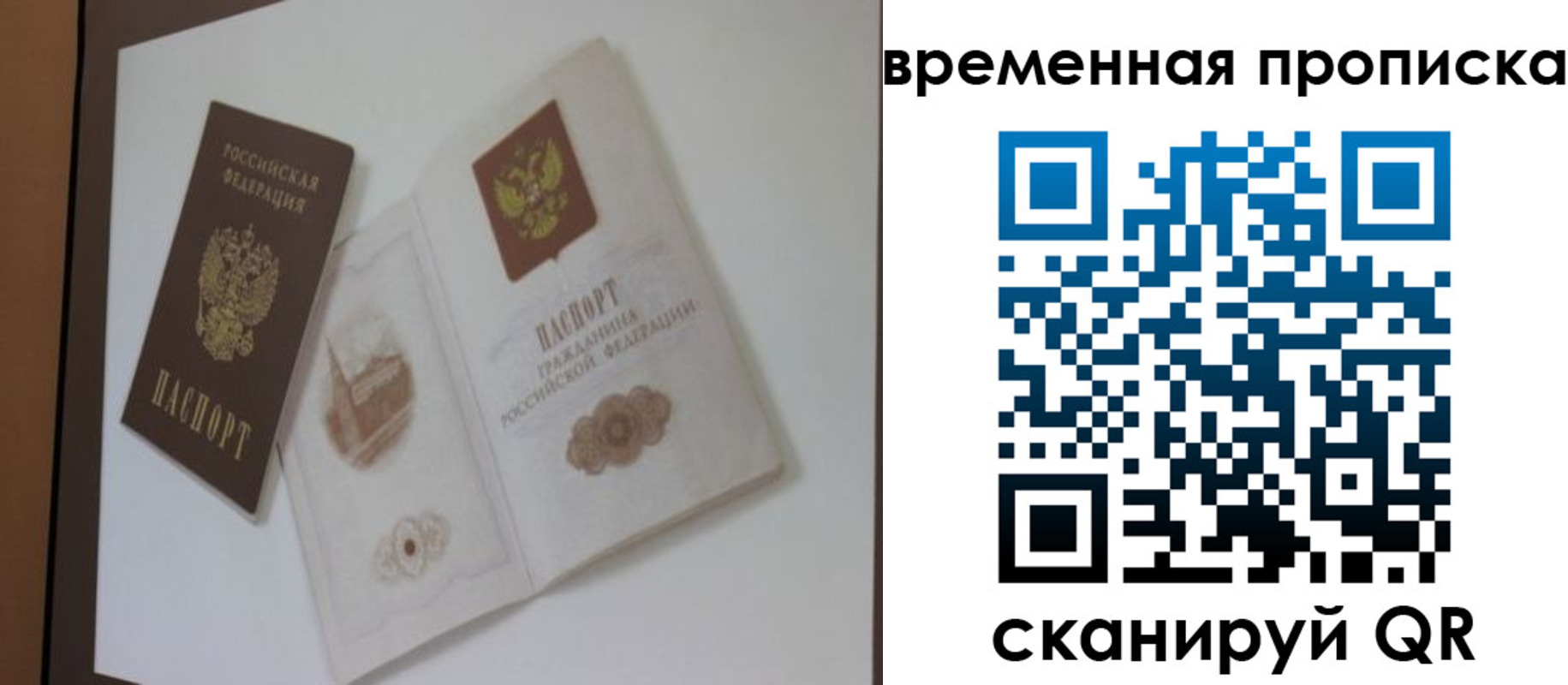прописка 2025 в Кораблино